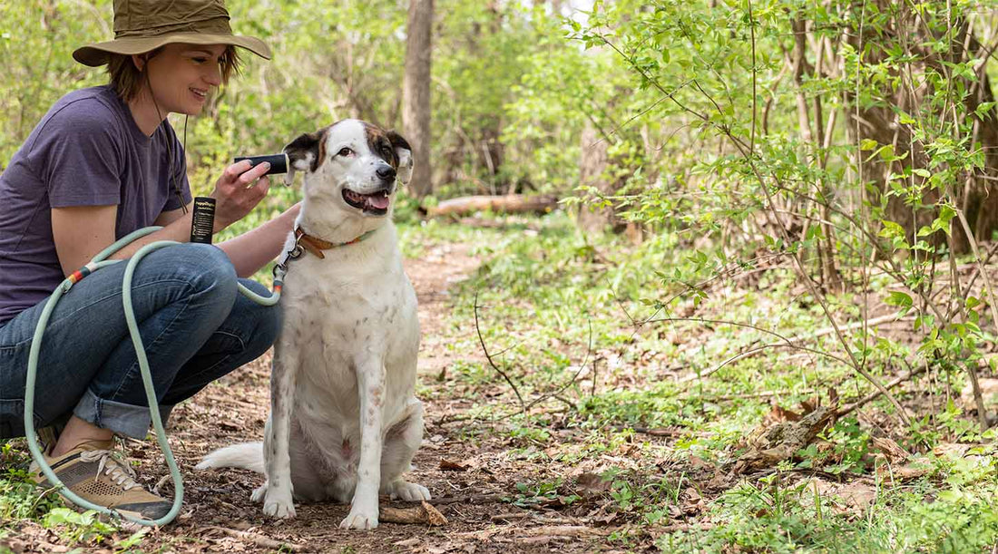 Zero Waste Petcare & Sustainability