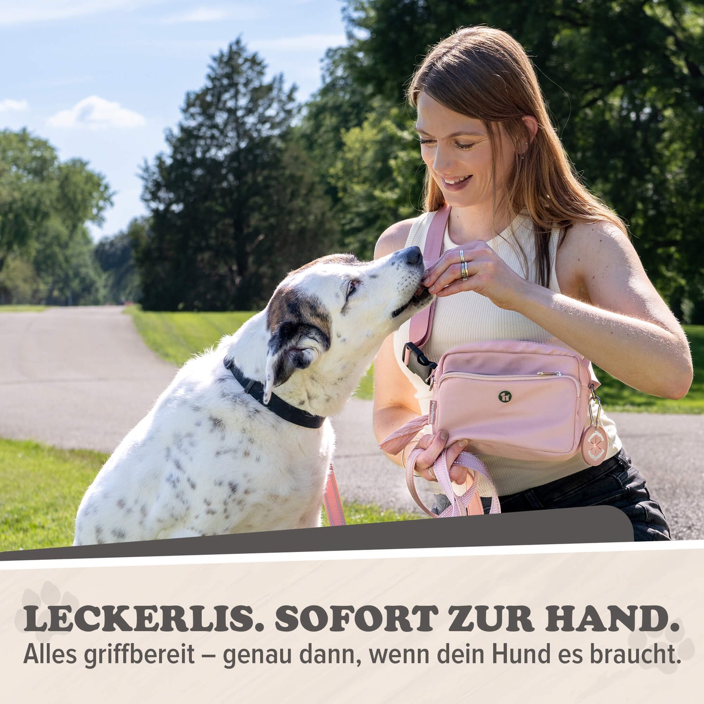3-in-1 Gassitasche mit passendem Kotbeutelspender