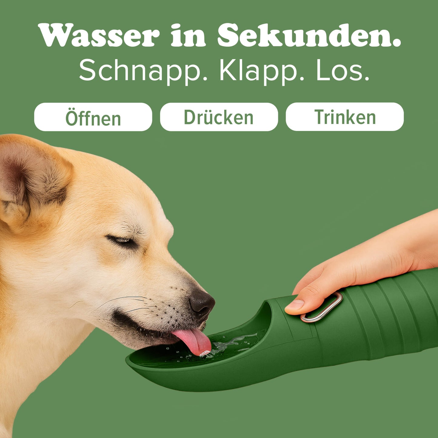 Faltbare Trinkflasche für Hunde 6-Pack