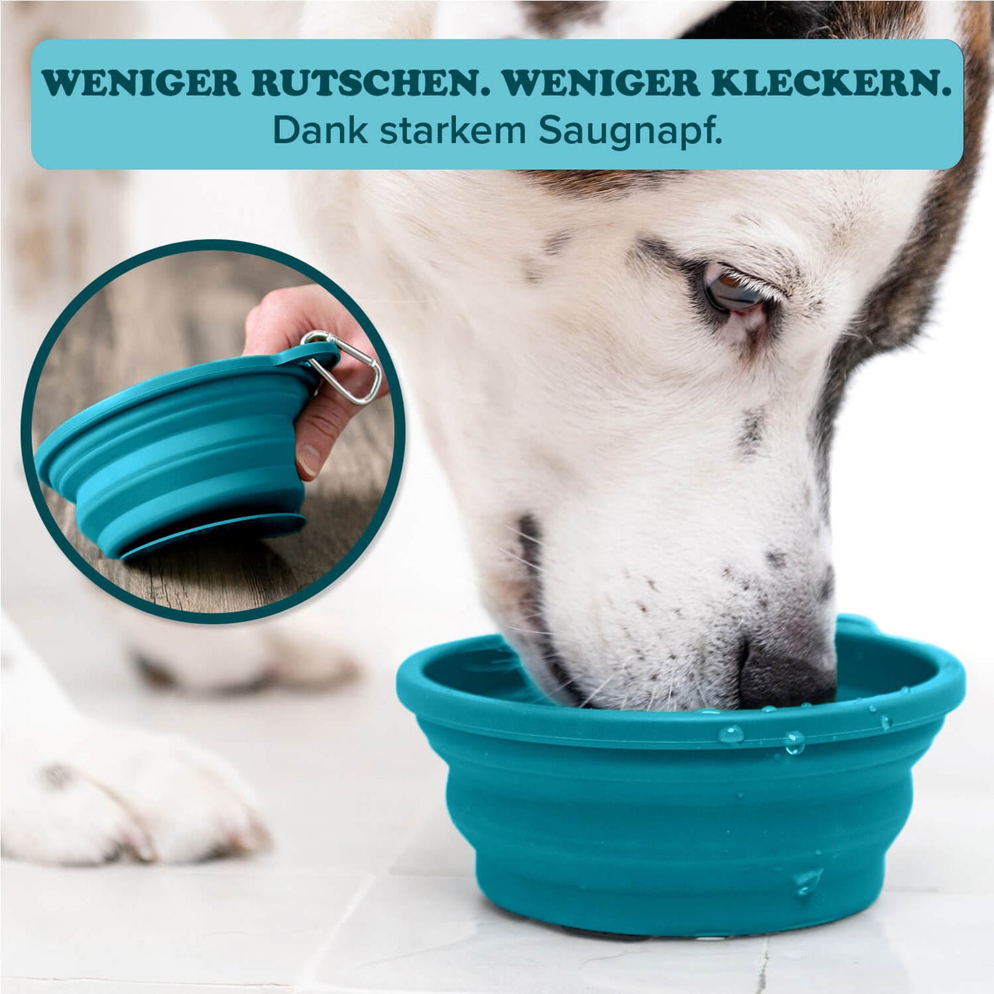 Schleckmatten-Reisenapf mit Slow-Feeding-Struktur 6-Pack