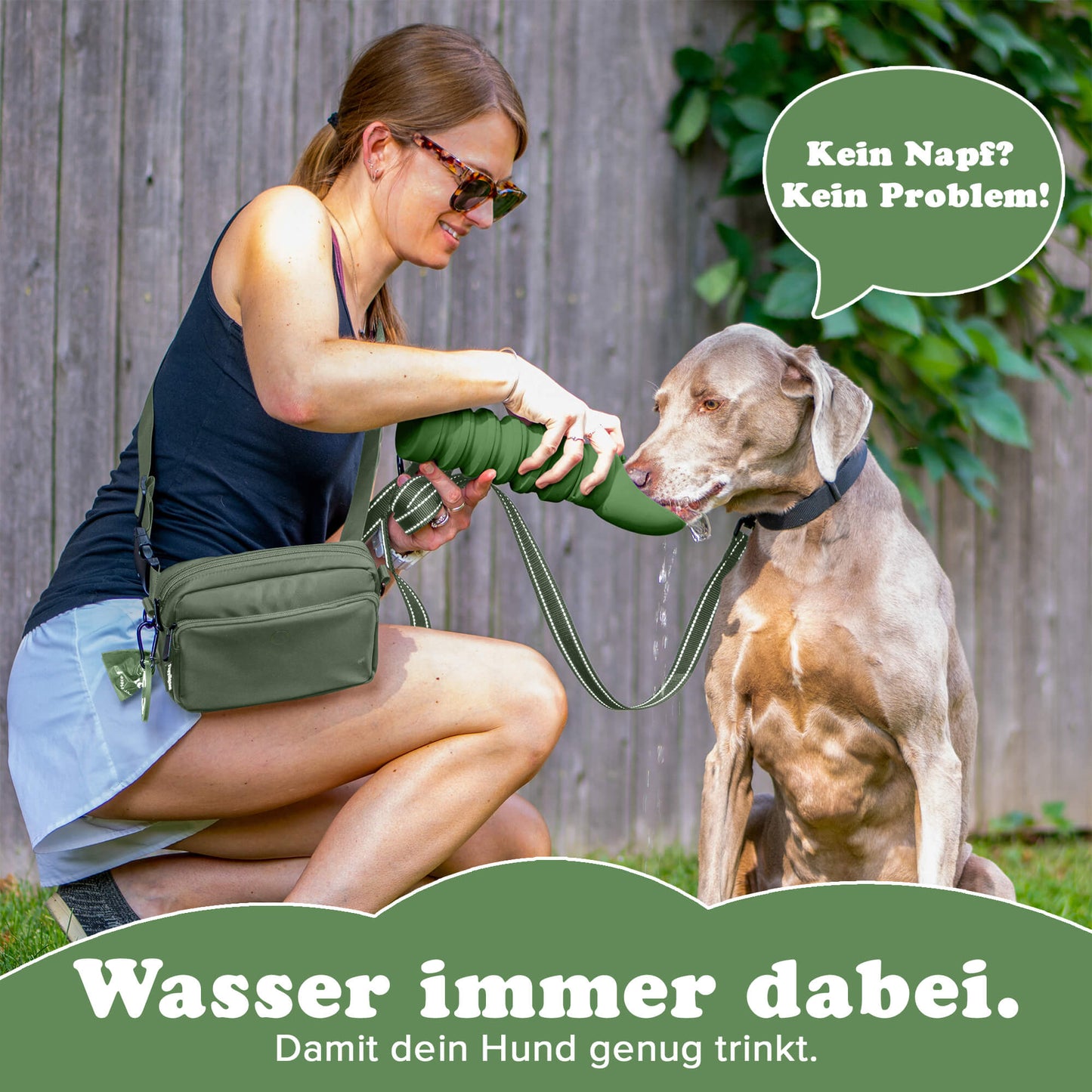 Faltbare Trinkflasche für Hunde 6-Pack
